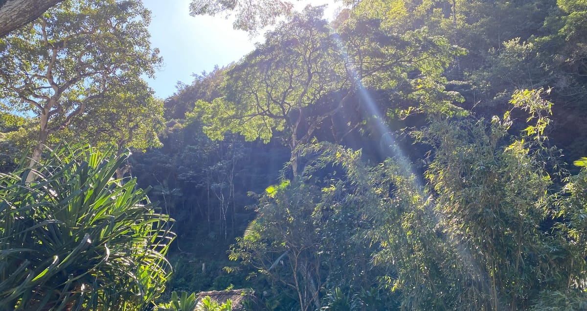 What's Life Curated By Imani?